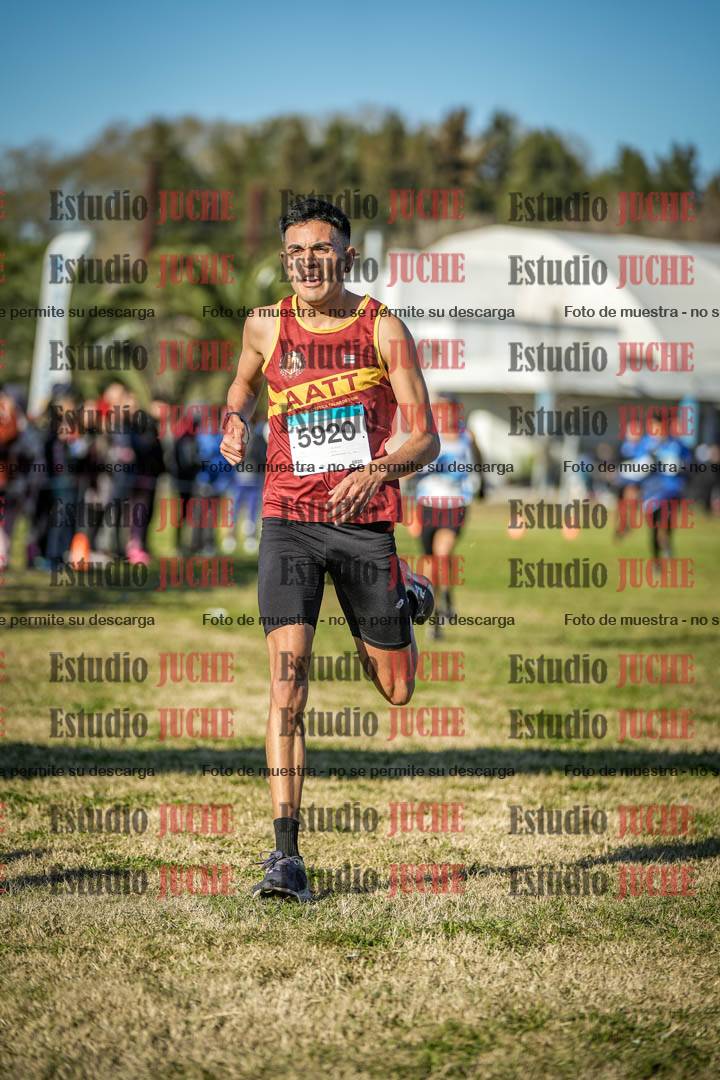 Fotos de las llegadas
