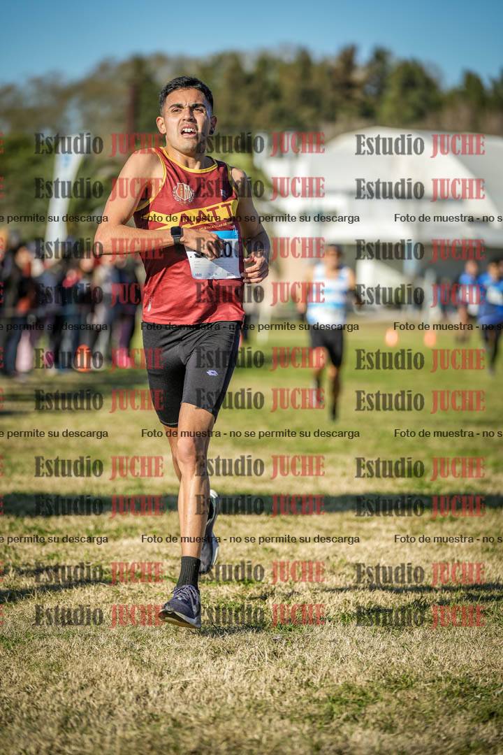 Fotos de las llegadas