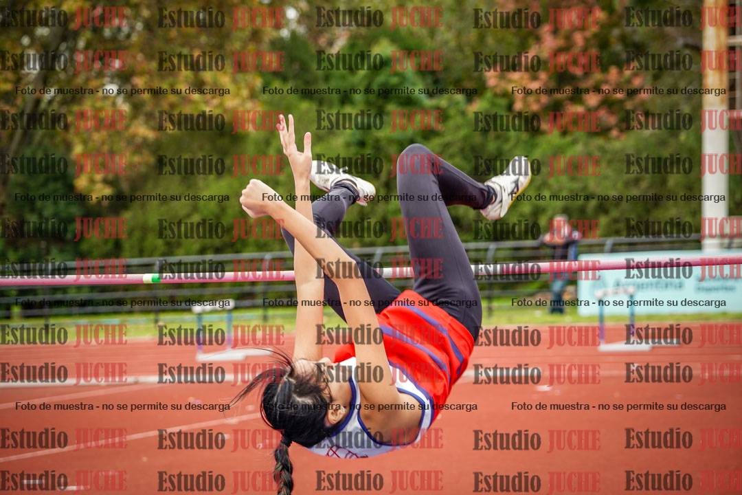 Fotos del salto en alto de mujeres