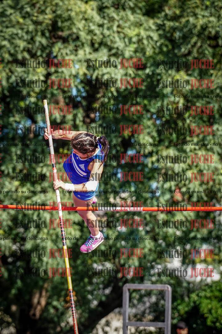 Fotos del salto con garrocha de mujeres y varones