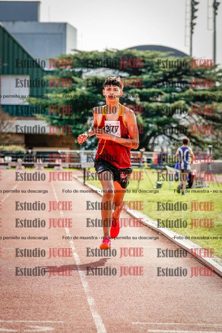 Fotos de los 1500 m con obstáculos de varones