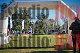 Fotos de la llegada del cross de 4000 m - varones