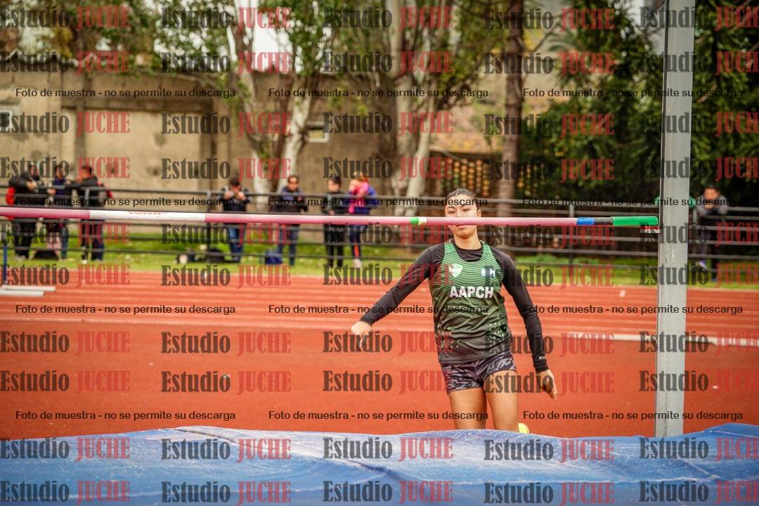 Fotos del salto en alto de mujeres
