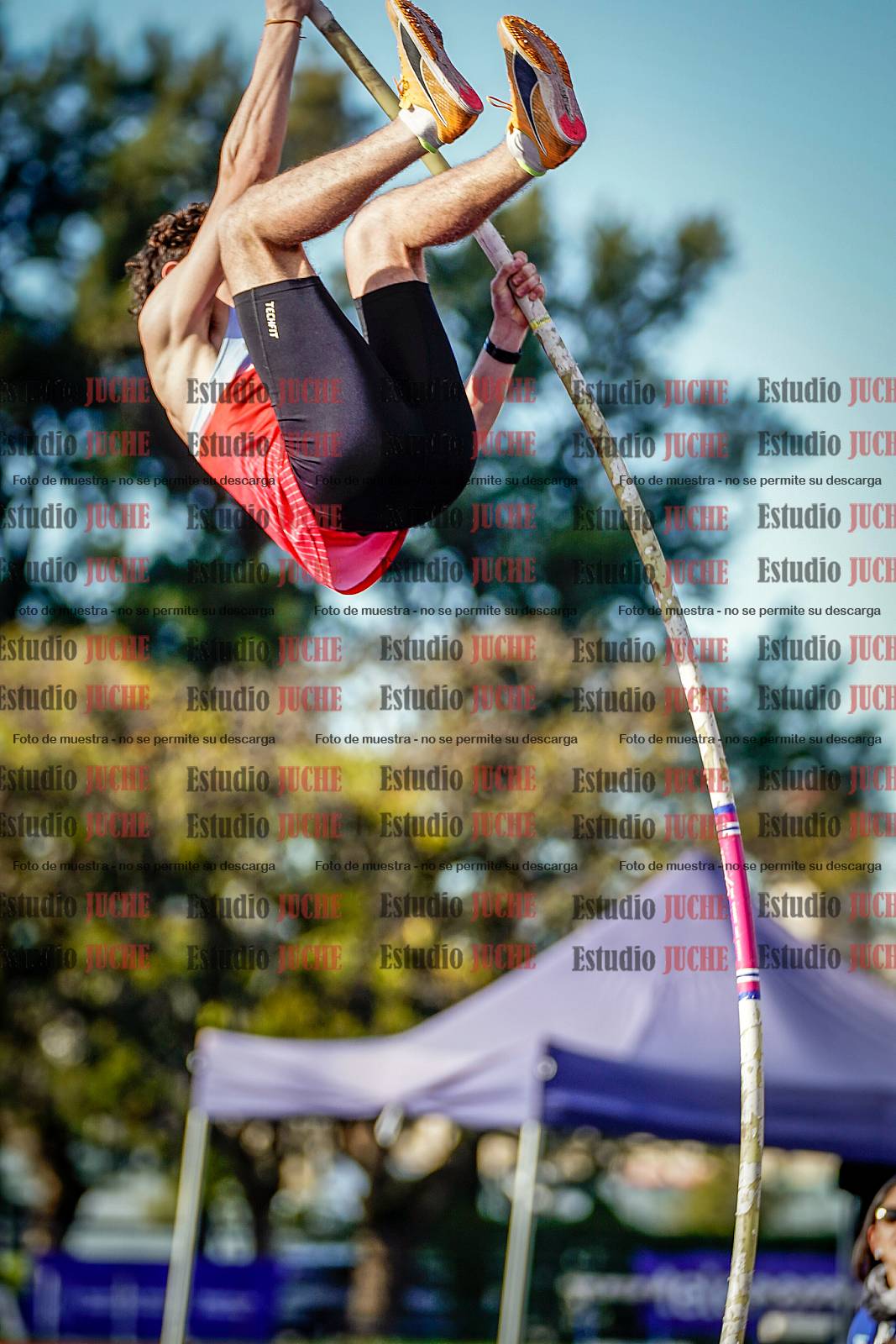 Fotos del salto con garrocha de varones