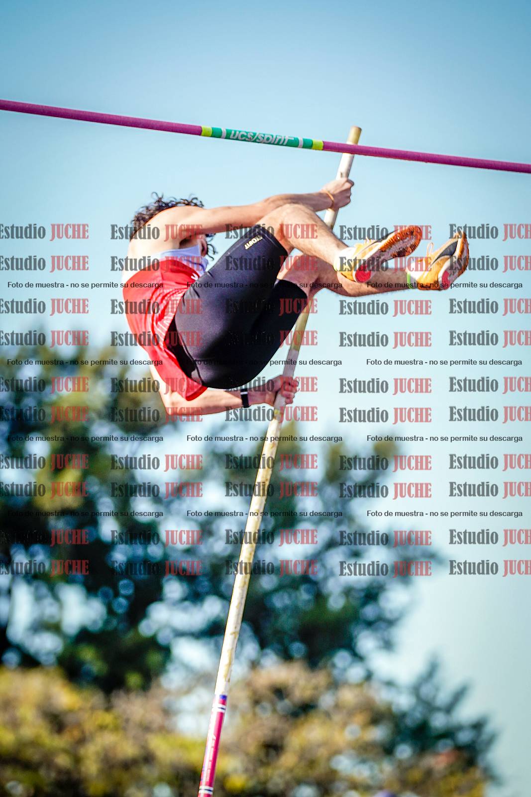 Fotos del salto con garrocha de varones