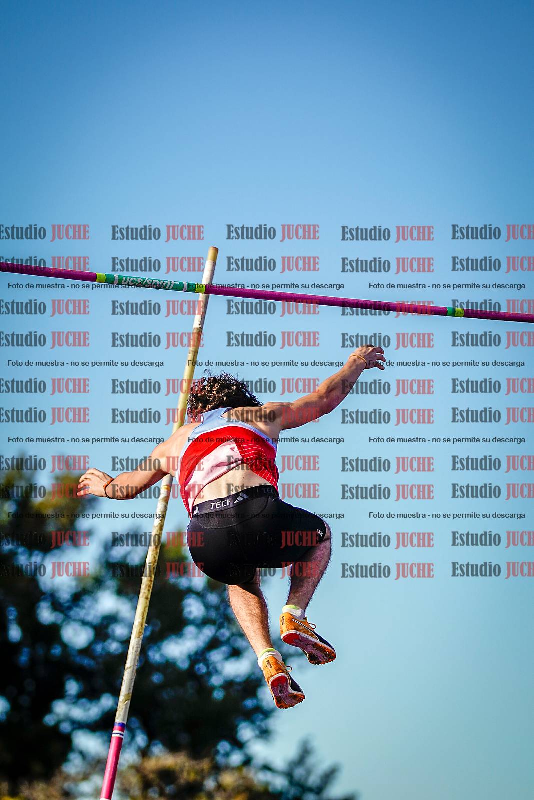 Fotos del salto con garrocha de varones