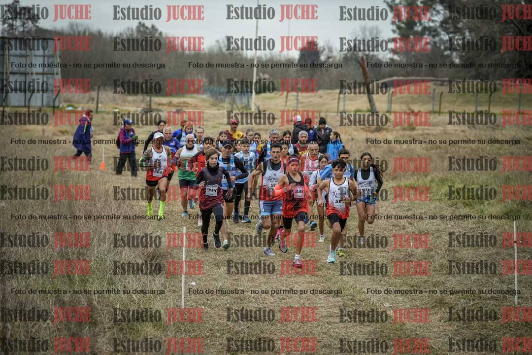 Fotos en de la largada