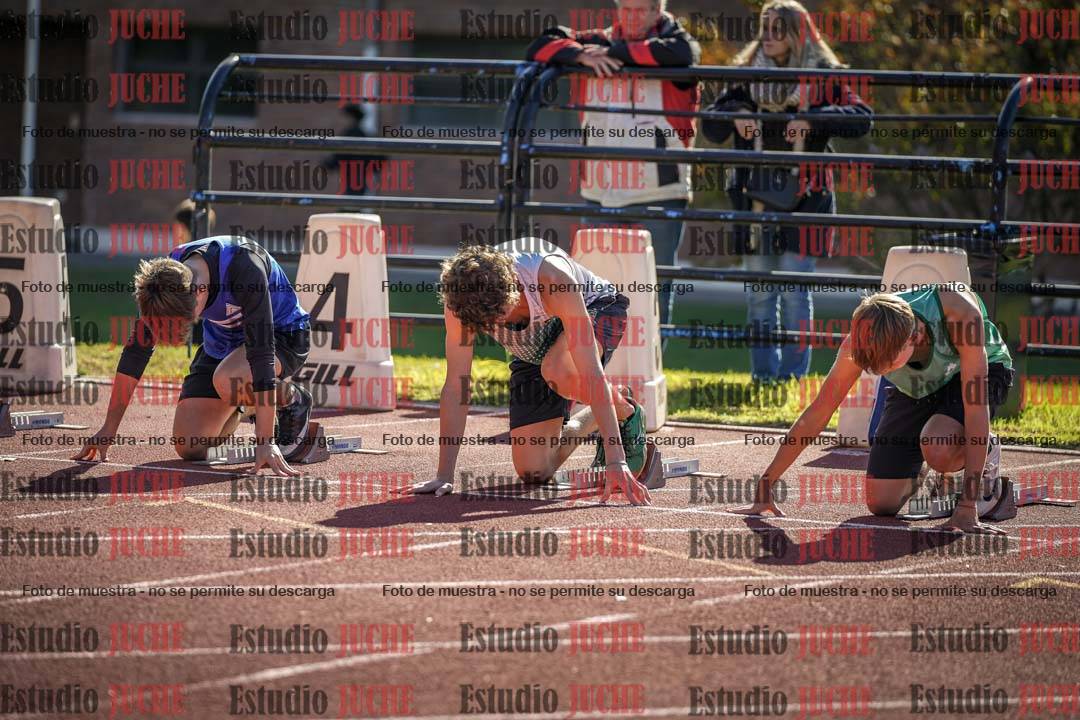 Fotos de los 110 m con vallas de varones