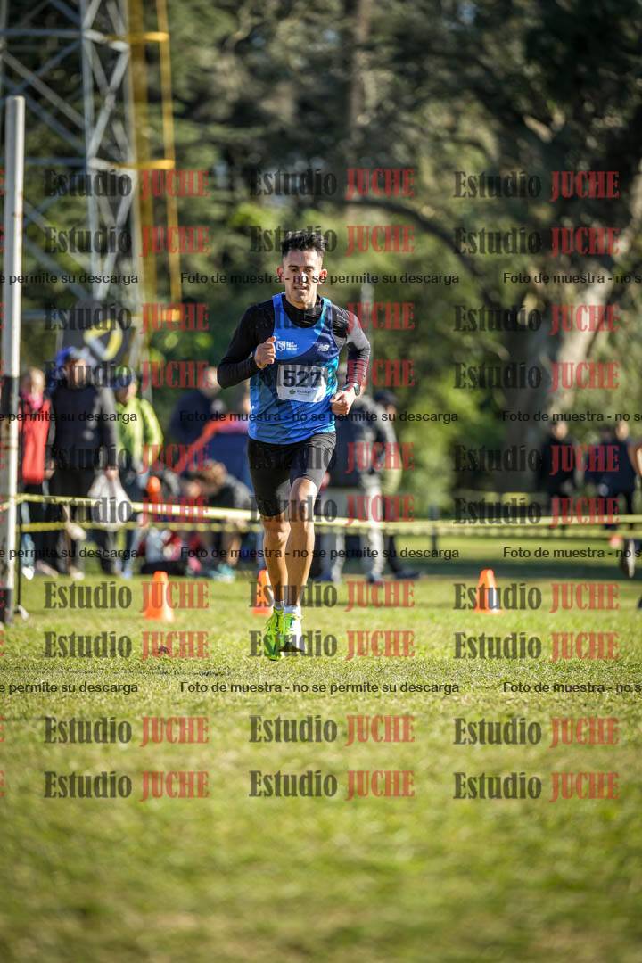 Fotos de la llegada del cross de 4000 m - varones