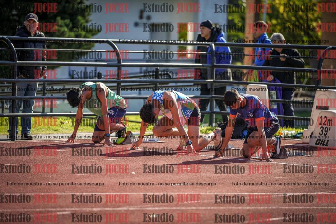 Fotos de los 110 m con vallas de varones
