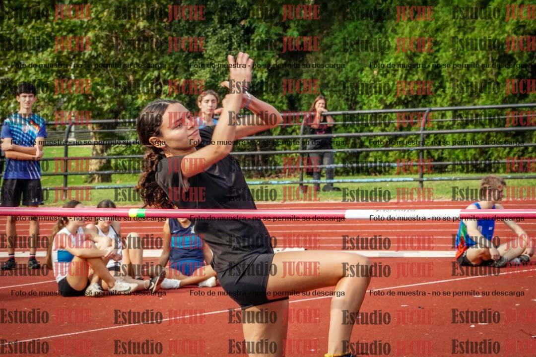 Fotos del salto en alto