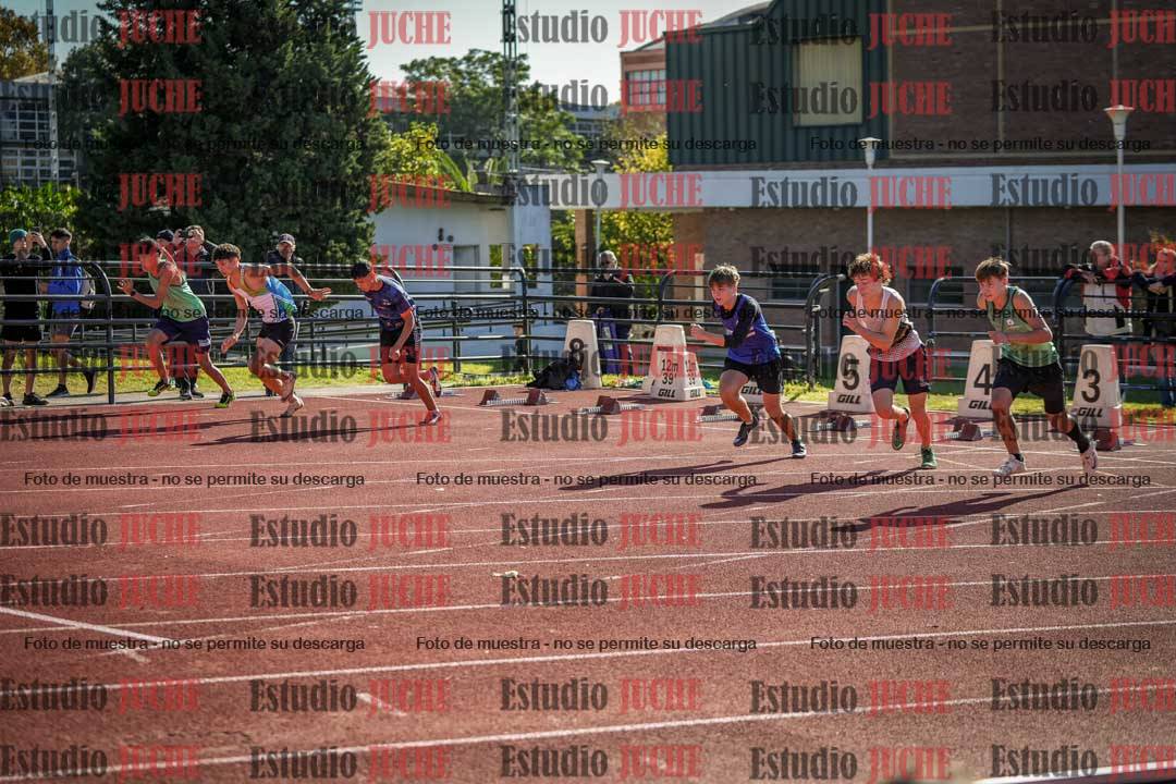 Fotos de los 110 m con vallas de varones