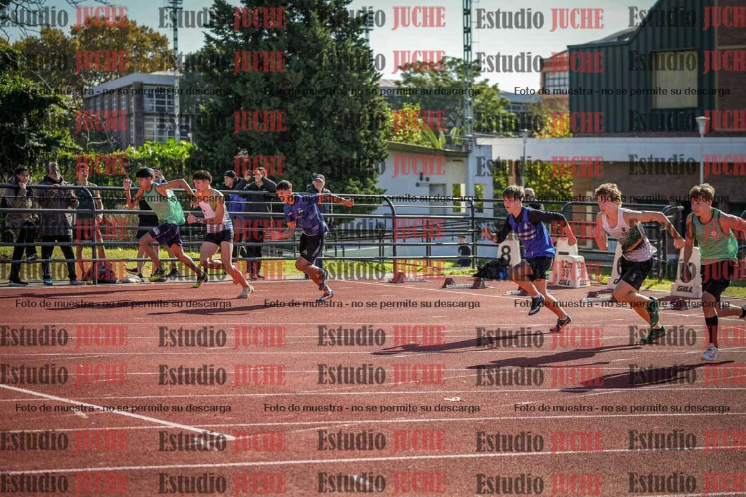 Fotos de los 110 m con vallas de varones