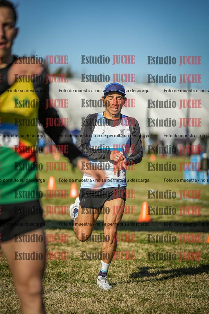 Fotos de las llegadas
