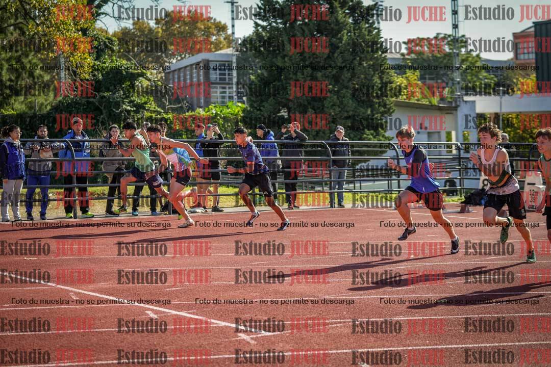 Fotos de los 110 m con vallas de varones
