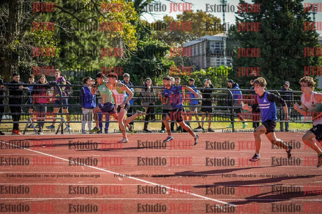 Fotos de los 110 m con vallas de varones