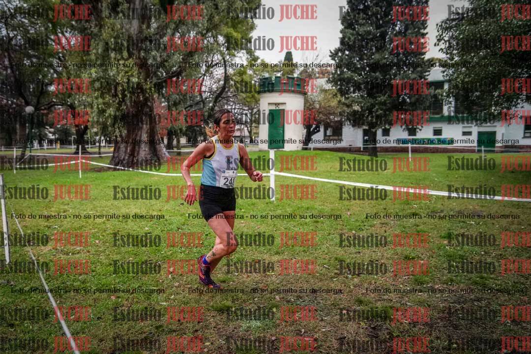 Fotos en el circuito