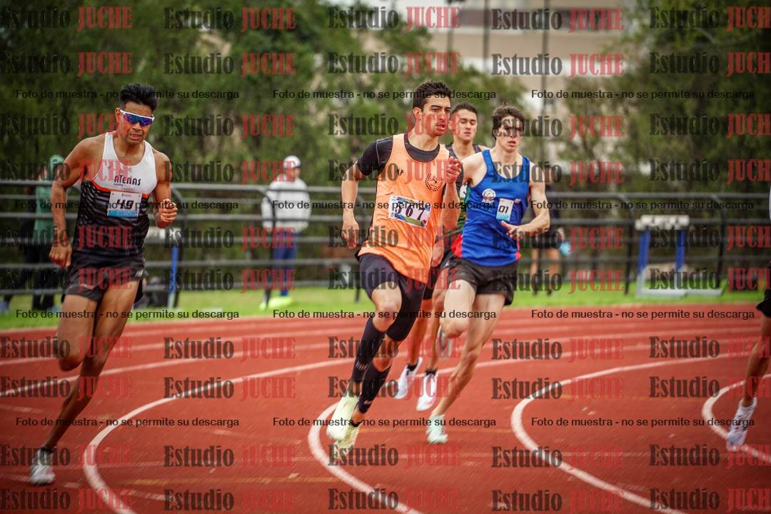 Fotos de los 800 m llanos de varones