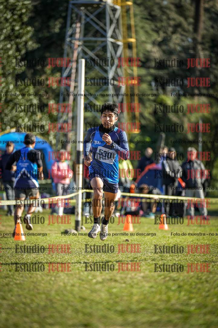 Fotos de la llegada del cross de 4000 m - varones
