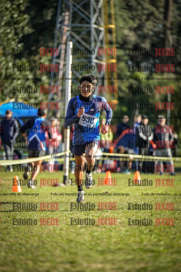 Fotos de la llegada del cross de 4000 m - varones
