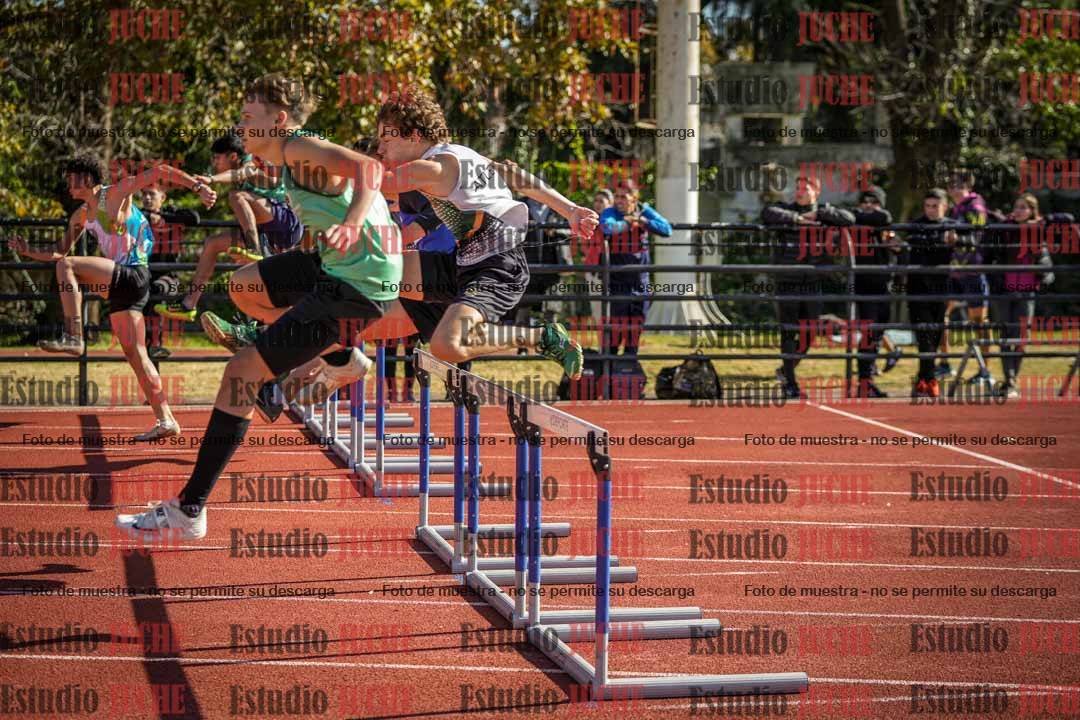 Fotos de los 110 m con vallas de varones