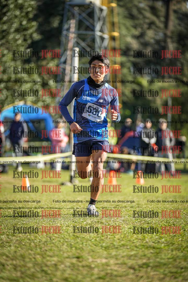 Fotos de la llegada del cross de 4000 m - varones