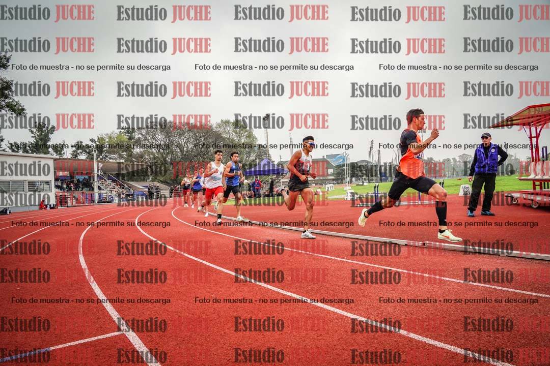Fotos de los 800 m llanos de varones