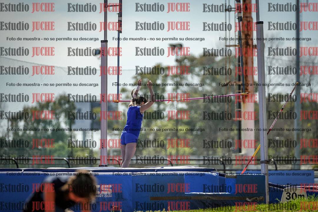 Fotos del salto con garrocha de mujeres y varones