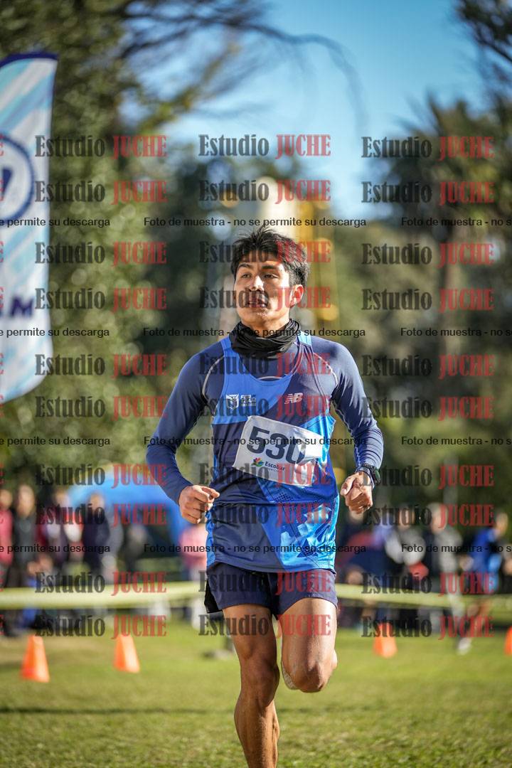 Fotos de la llegada del cross de 4000 m - varones