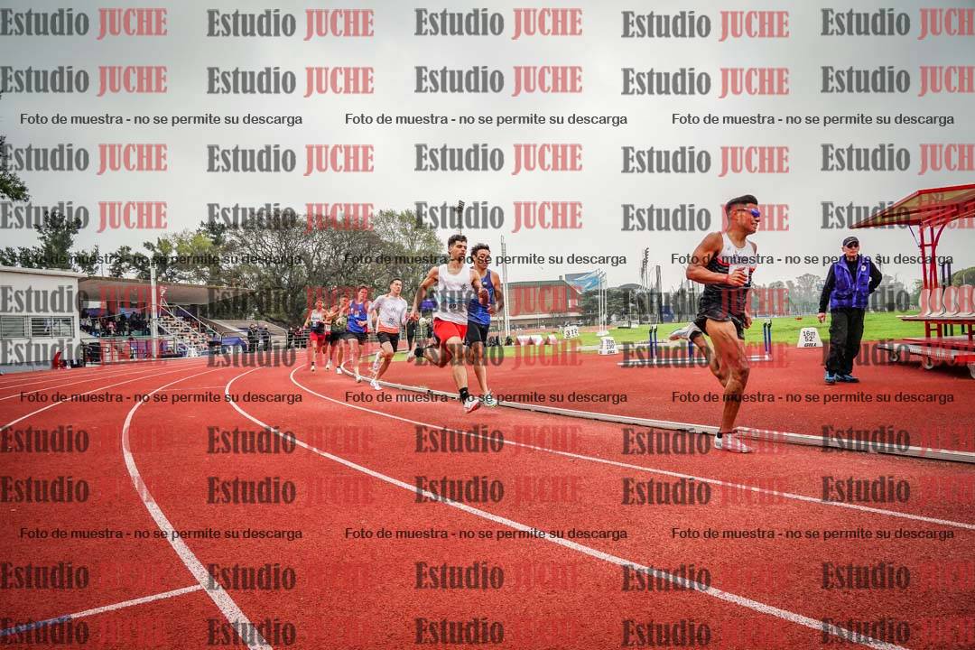 Fotos de los 800 m llanos de varones