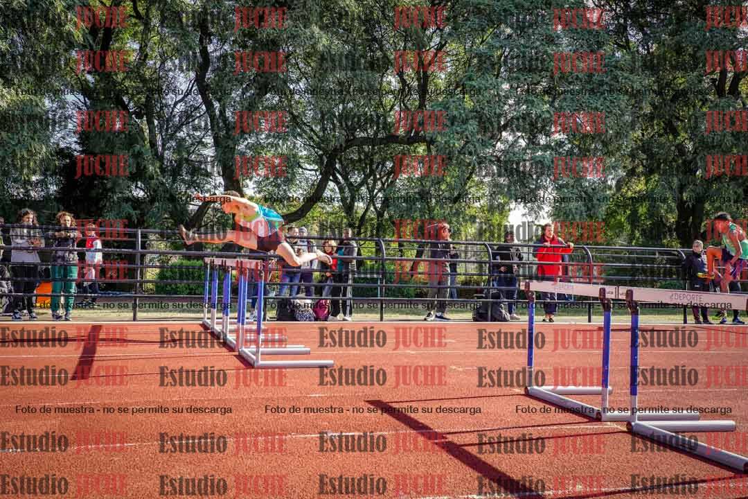 Fotos de los 110 m con vallas de varones
