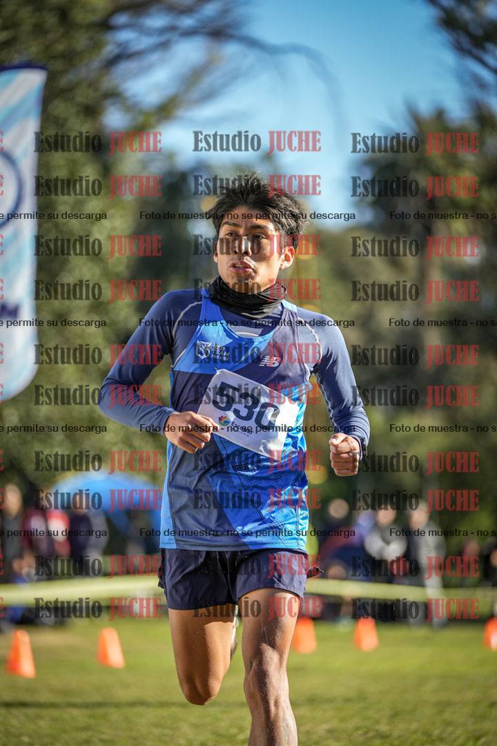 Fotos de la llegada del cross de 4000 m - varones
