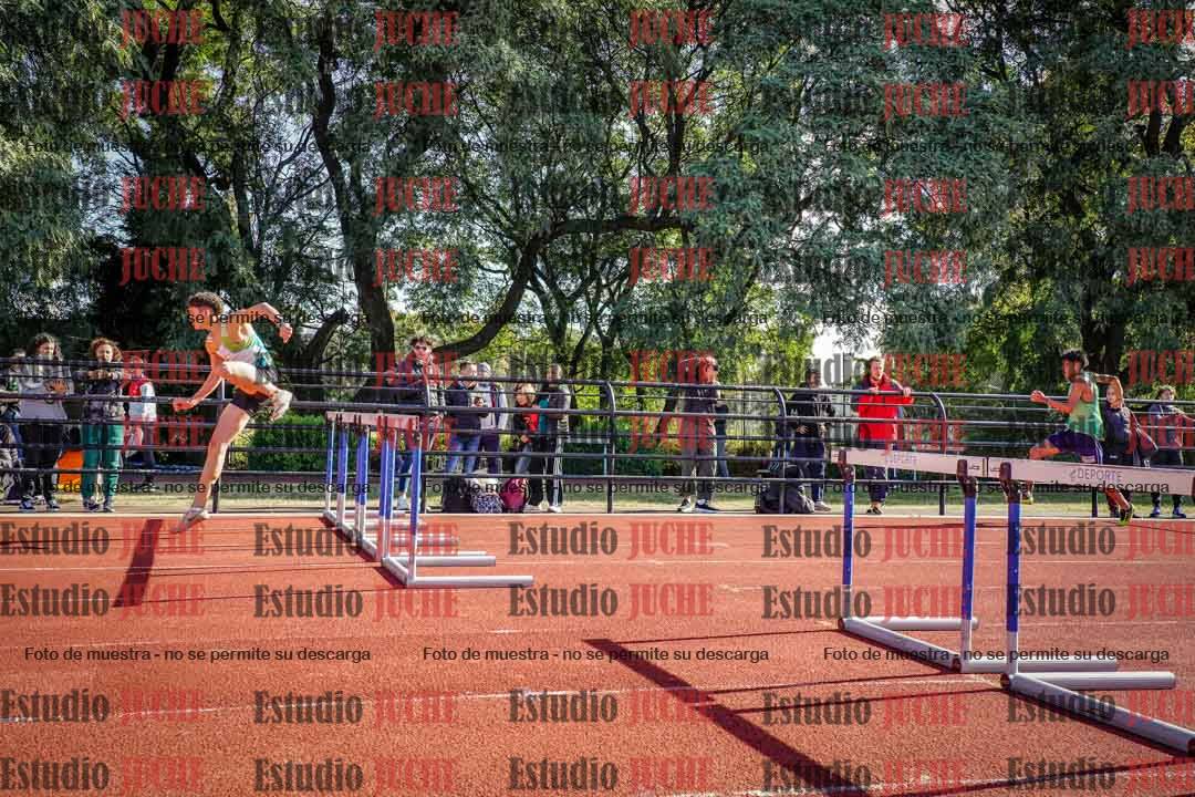 Fotos de los 110 m con vallas de varones