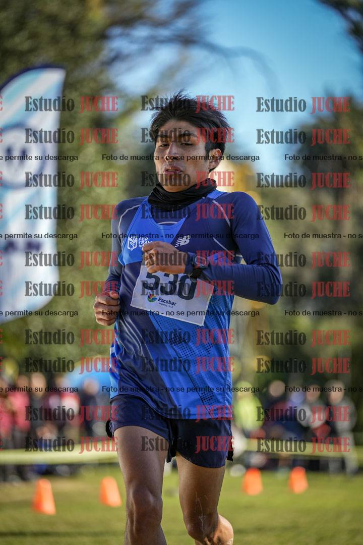Fotos de la llegada del cross de 4000 m - varones