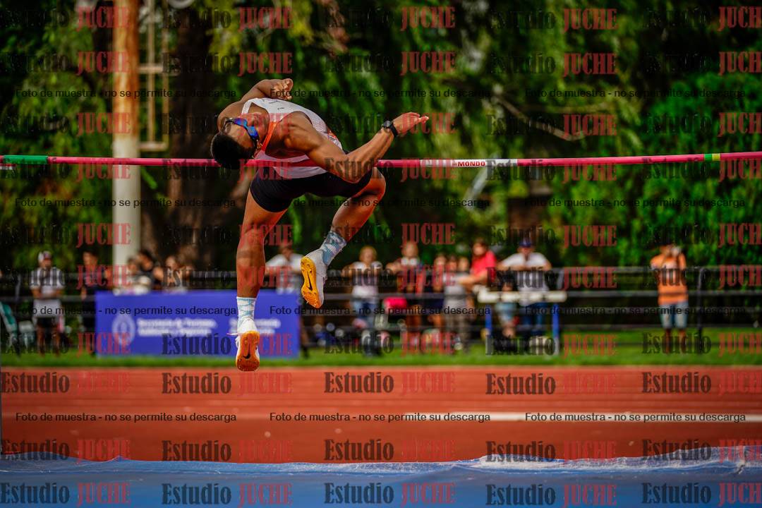 Fotos del salto en alto de varones