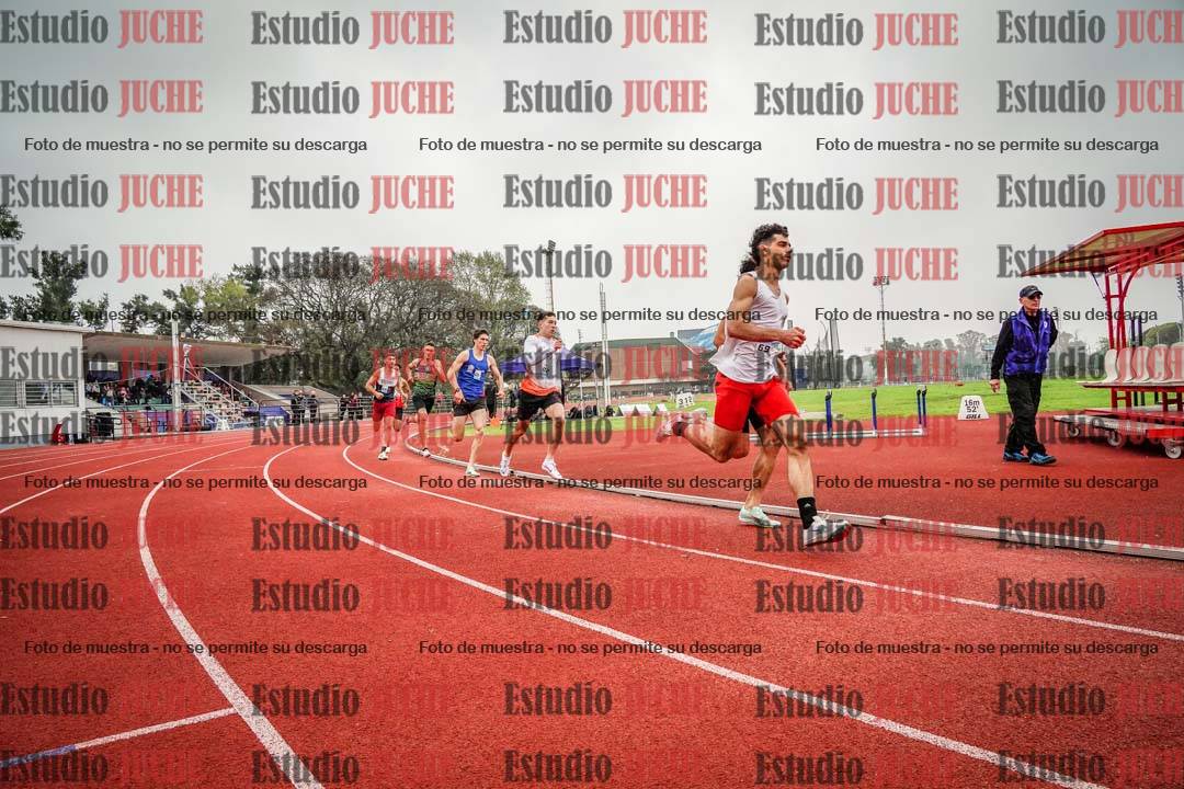 Fotos de los 800 m llanos de varones