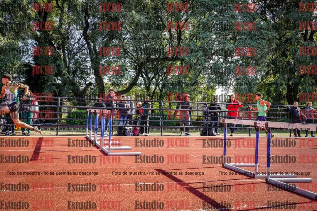 Fotos de los 110 m con vallas de varones