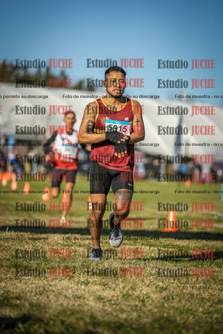 Fotos de las llegadas