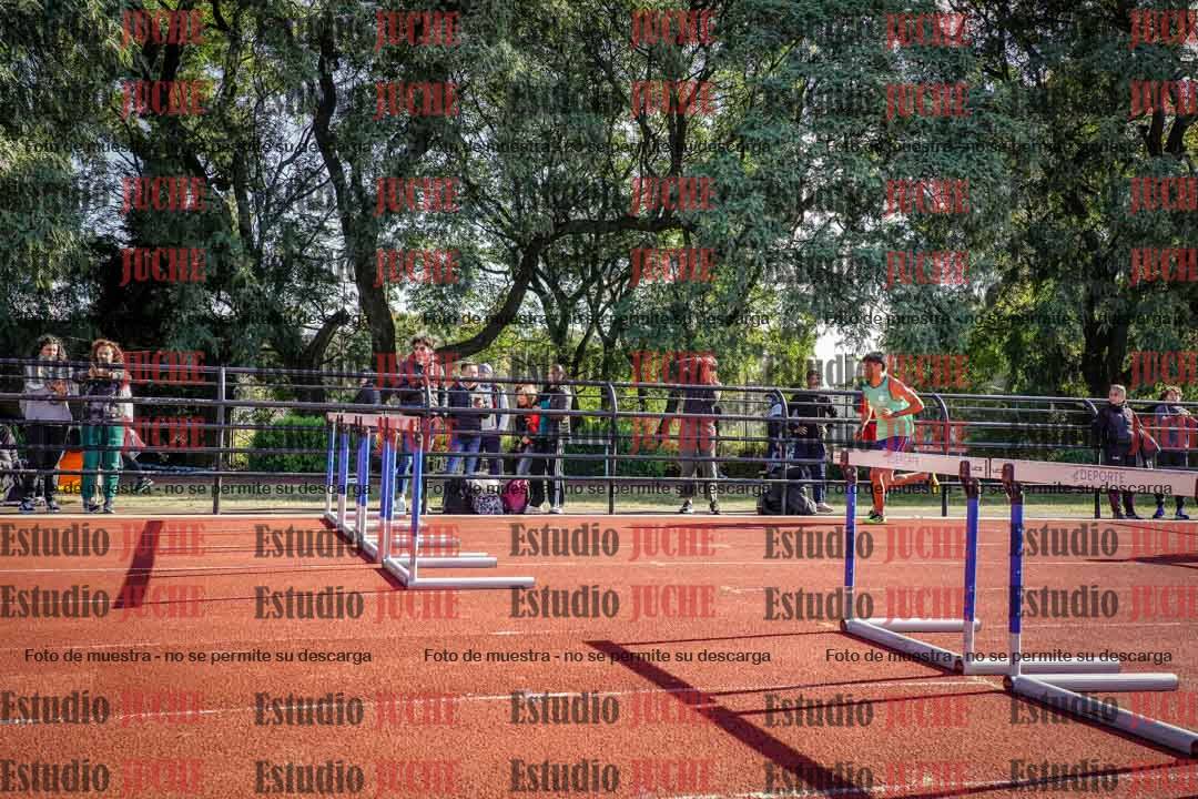 Fotos de los 110 m con vallas de varones