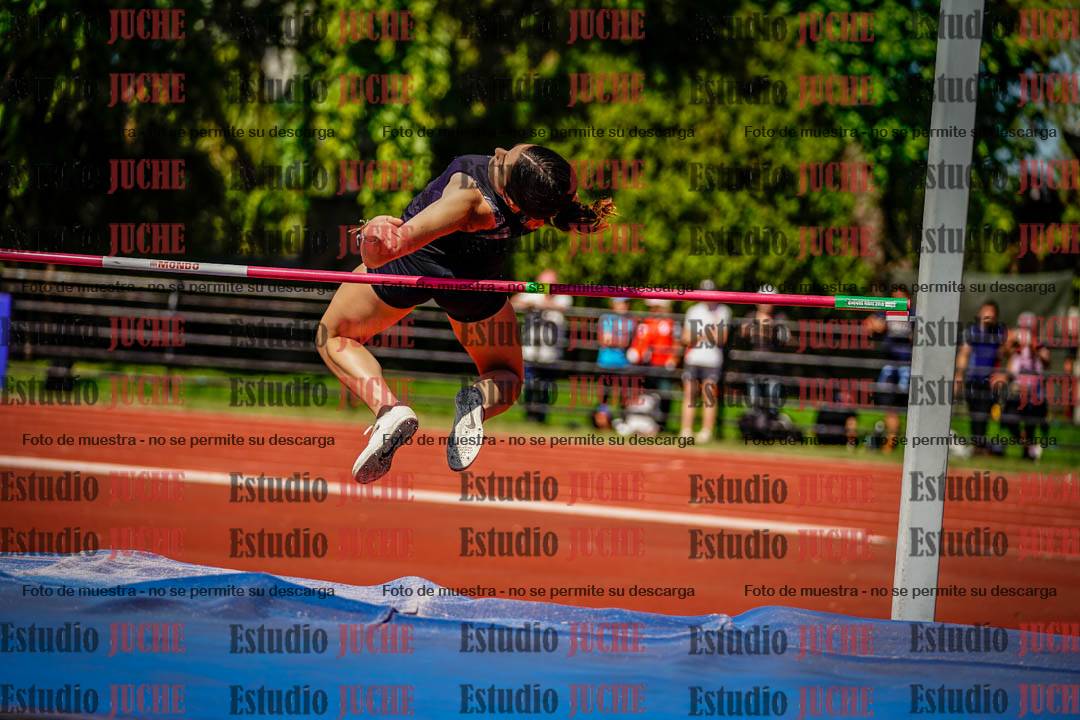 Fotos del salto en alto