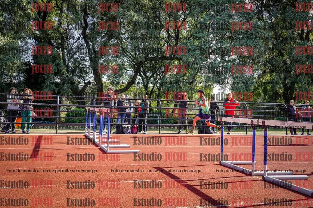 Fotos de los 110 m con vallas de varones