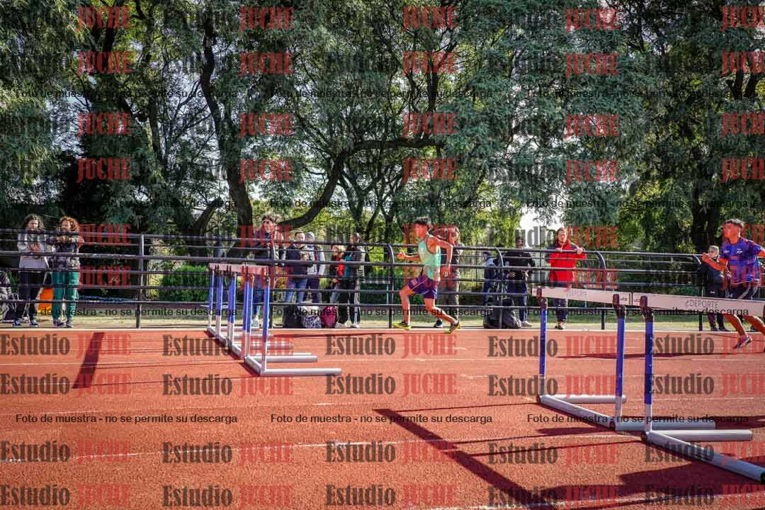 Fotos de los 110 m con vallas de varones