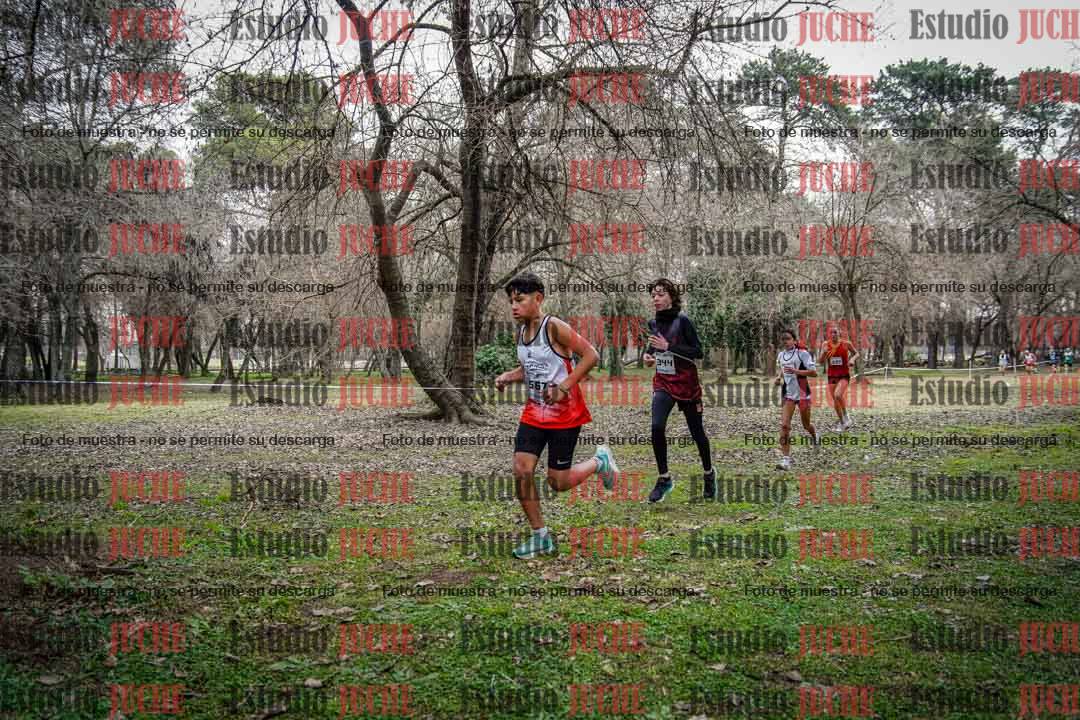 Fotos en el circuito