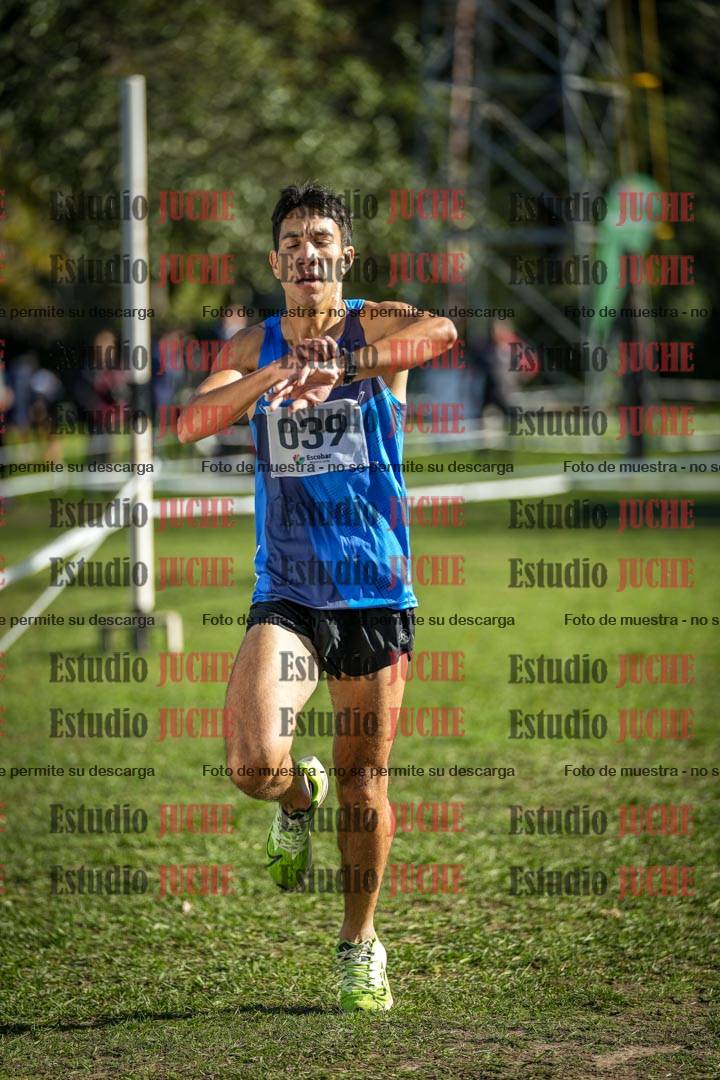 Fotos de la llegada del cross de 4000 m - varones