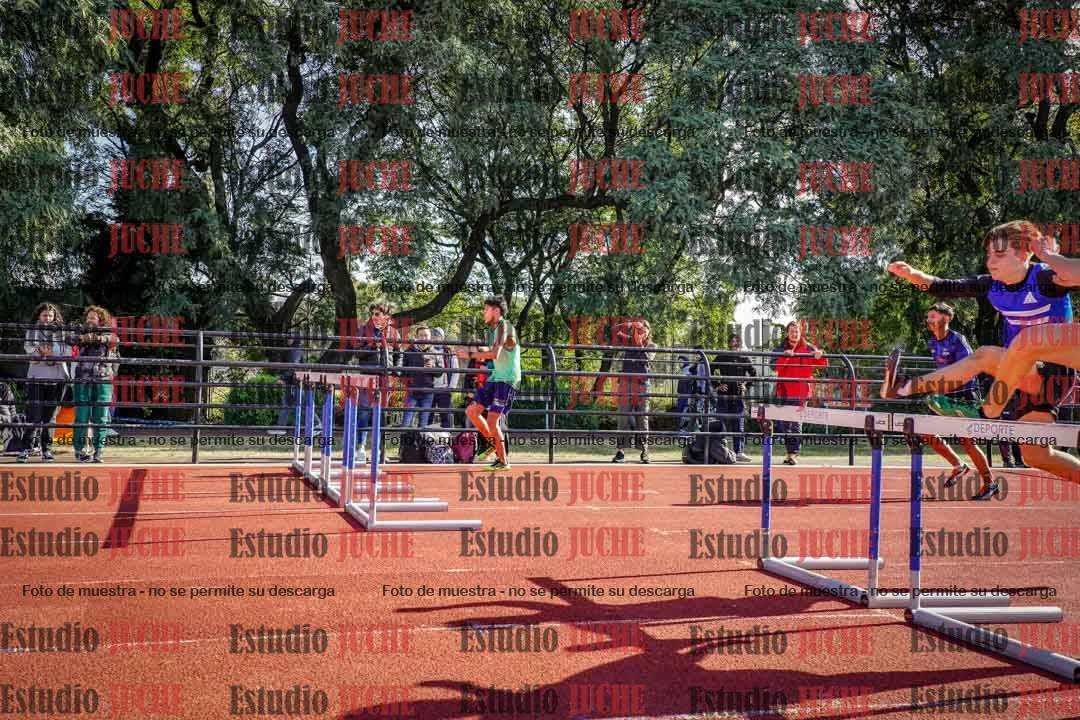 Fotos de los 110 m con vallas de varones