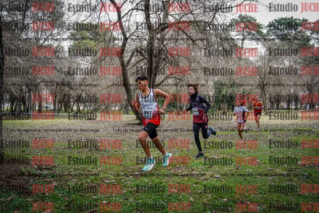 Fotos en el circuito