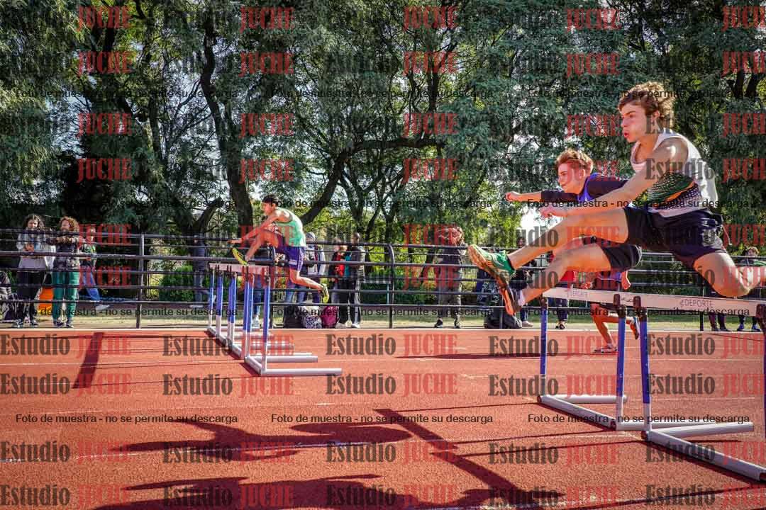 Fotos de los 110 m con vallas de varones