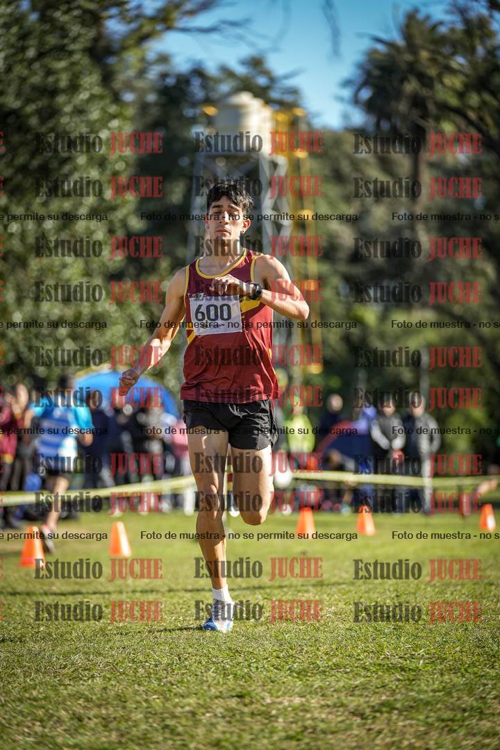 Fotos de la llegada del cross de 4000 m - varones