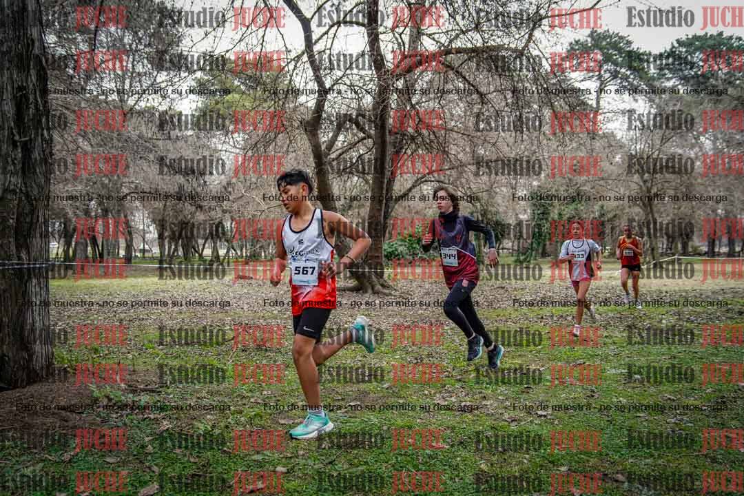 Fotos en el circuito