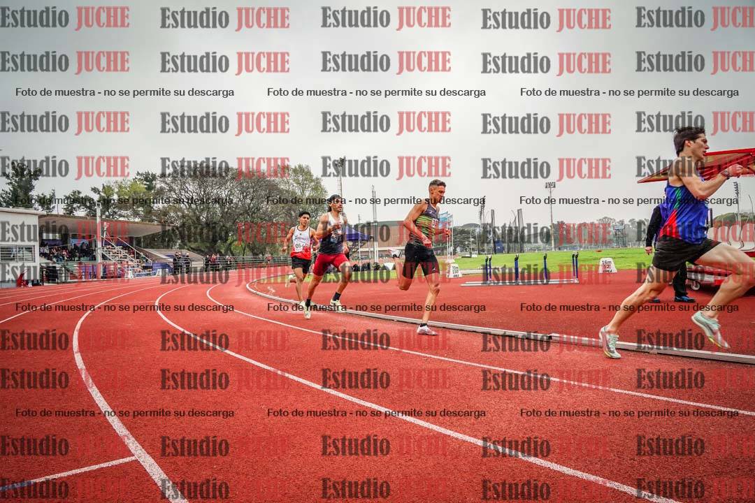 Fotos de los 800 m llanos de varones